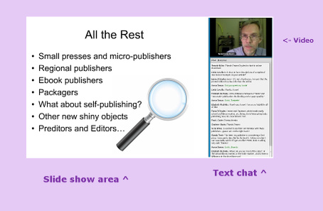 A screengrab showing what the webinar looks like.